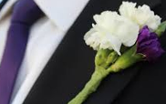 Carnation Boutonniere