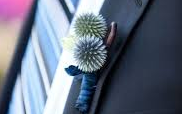 Thistle Boutonniere